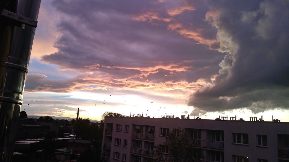 imag0251.jpg